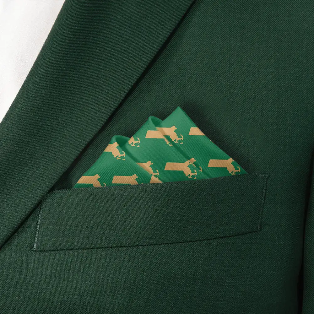 Neat Refined Suit Pocket Square