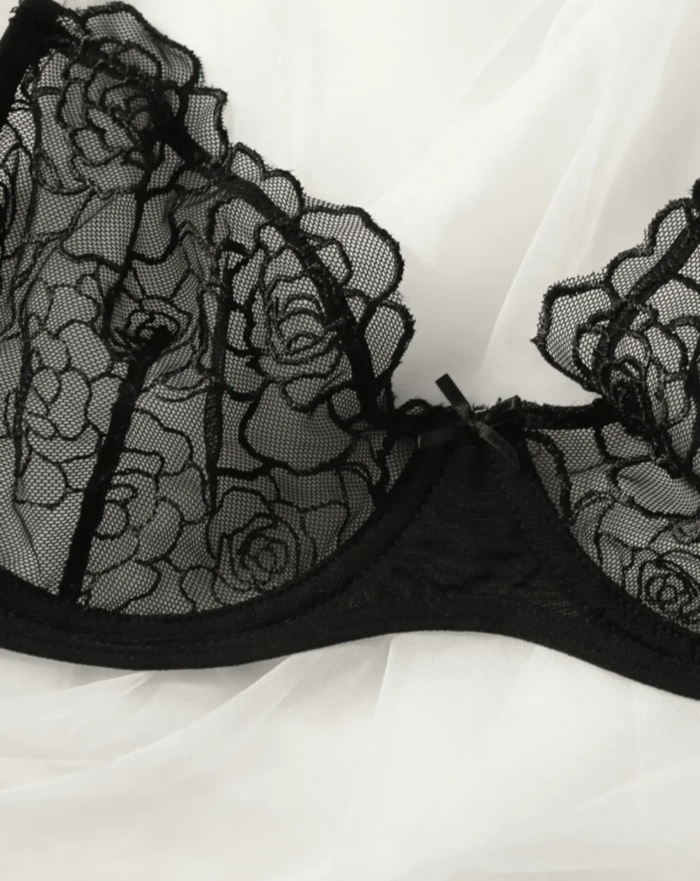 Rose Embroidered Lingerie Set
