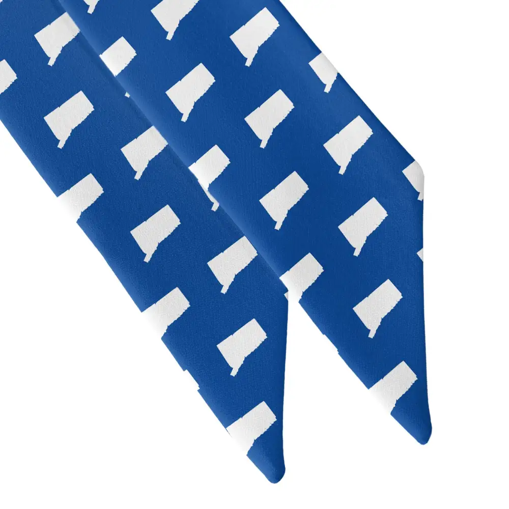 Connecticut State Outline Design Hair Scarf