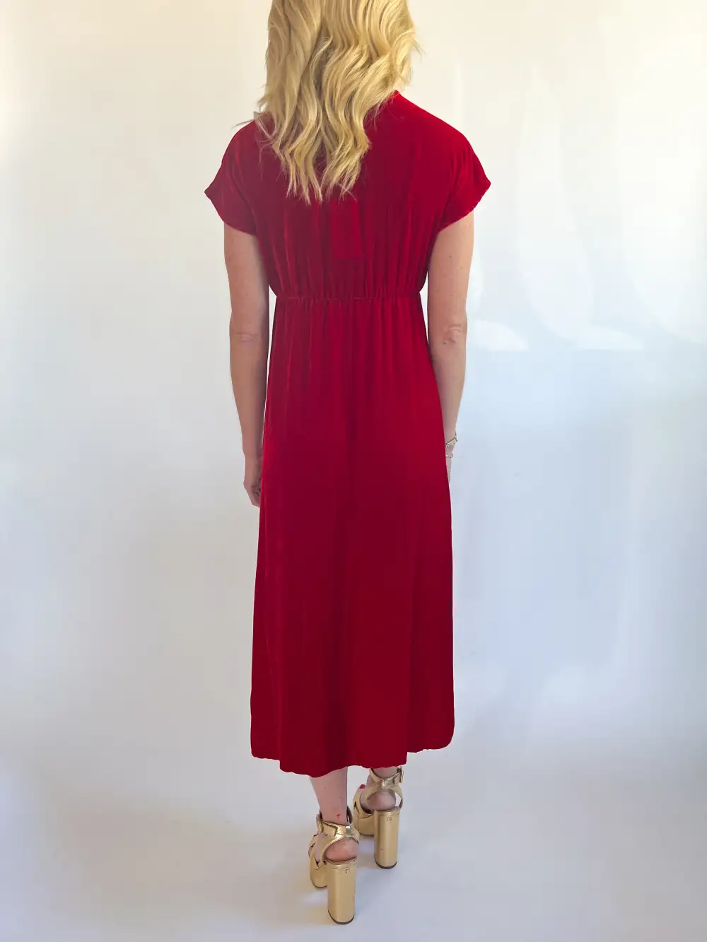 Velvet Maxi Detail Dress