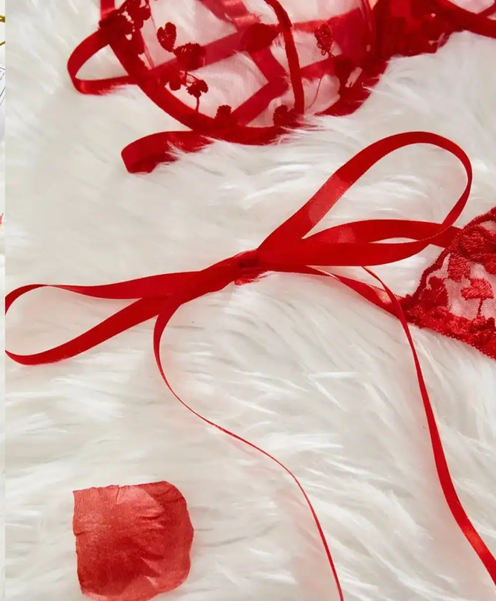 Heart Bow Detail Lingerie Set
