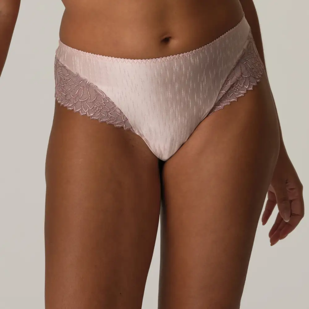Women's High Cut Lace Mesh Vintage Detail Retro Detail Tanga Panty