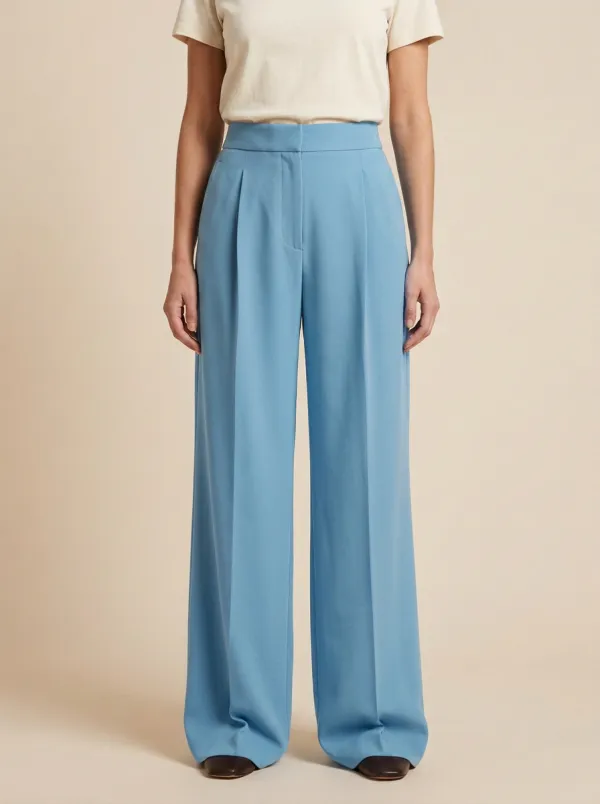 Polished Pleated High Rise Wide Leg Pants