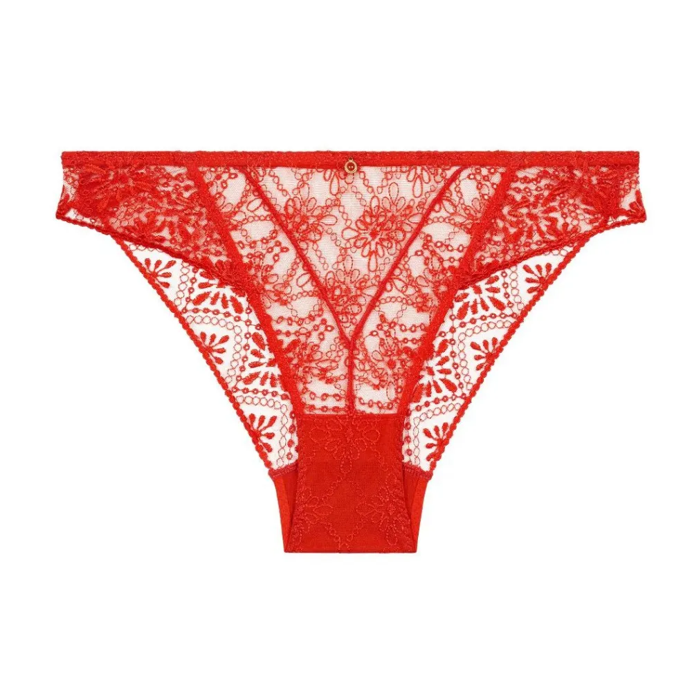 Women's Embroidery Mesh Sheer Detail Bikini Panty