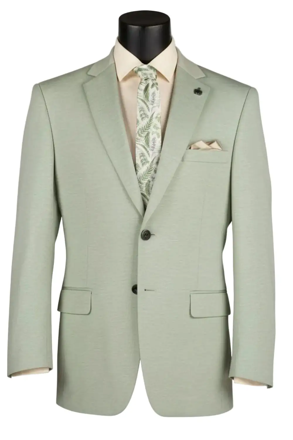 Light Green Modern Fit Regular Solid Single Breasted Two Button Blazer