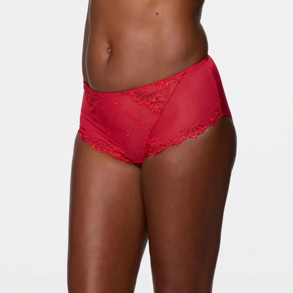 Women's Full Coverage Elastic Waistband Cotton Gusset Guipure Lace Embroidery Cotton Satin Floral Print Decorative Bow Shimmer Detail Soft Fabric Stretch Fit Brief Panty