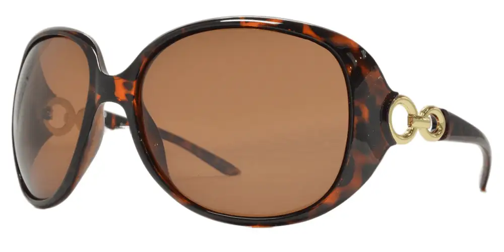 Women's Plastic Butterfly Polarized Sunglasses
