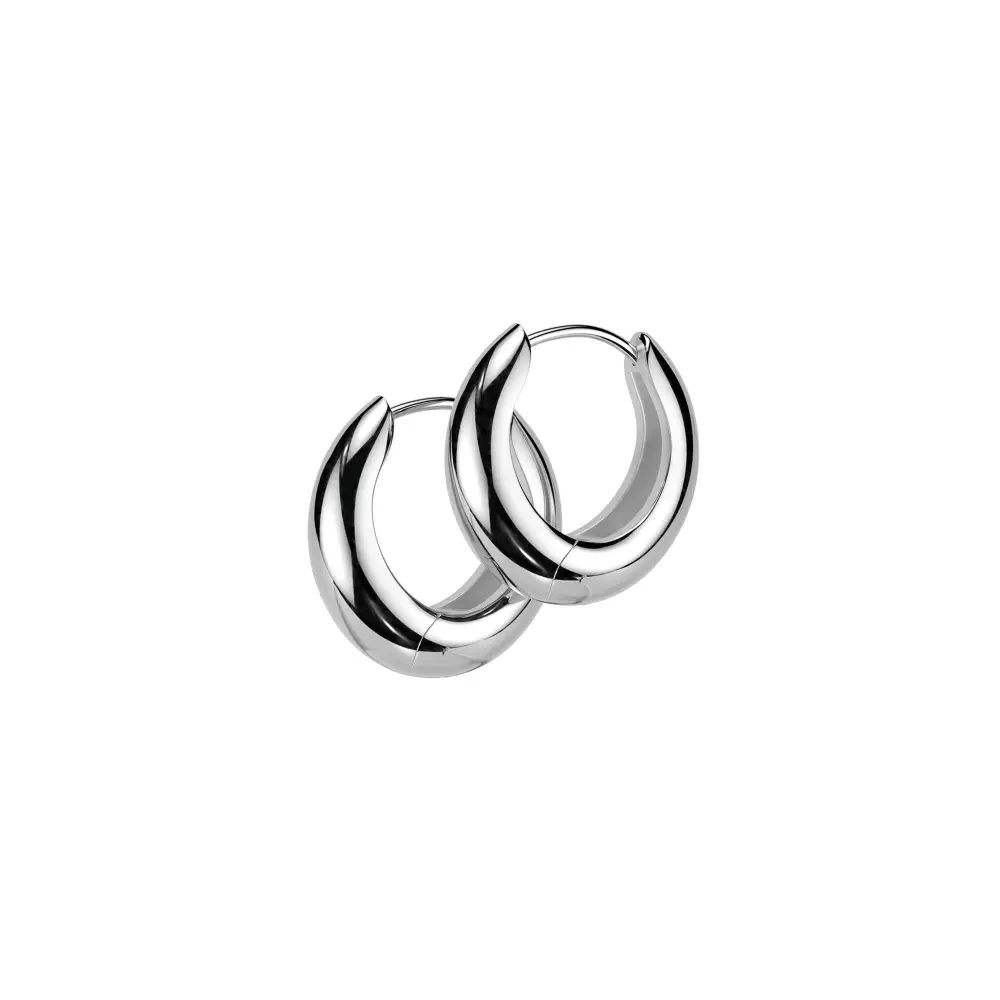 Simple Surgical-Steel Hoop Earrings