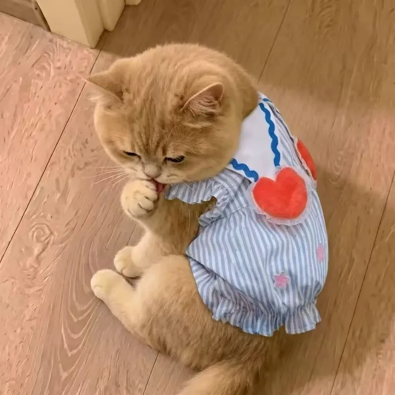 Summer Thin Pet Skirt Teddy Bichon Cat Small Dog Poodle Pomeranian Pomeranian Maltese Dog Clothes