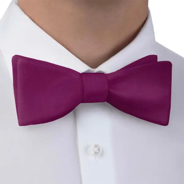 Clean Solid Pattern Bow Tie