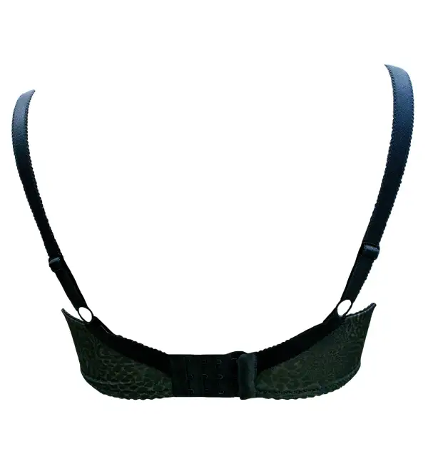 Simple Plunge Padded Underwire Bra