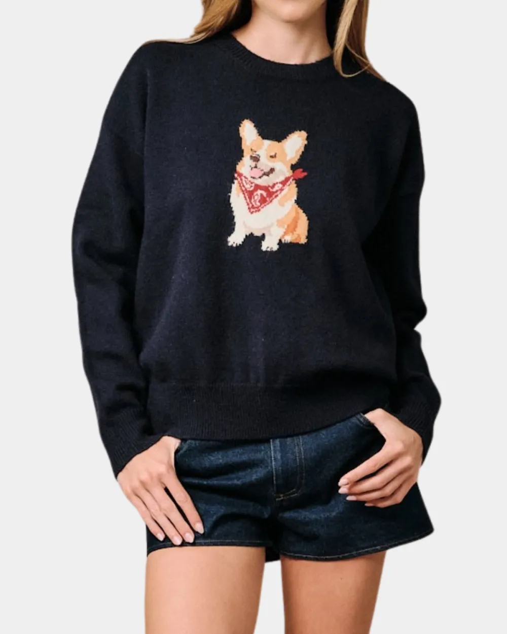 Paisley Dog Sweater