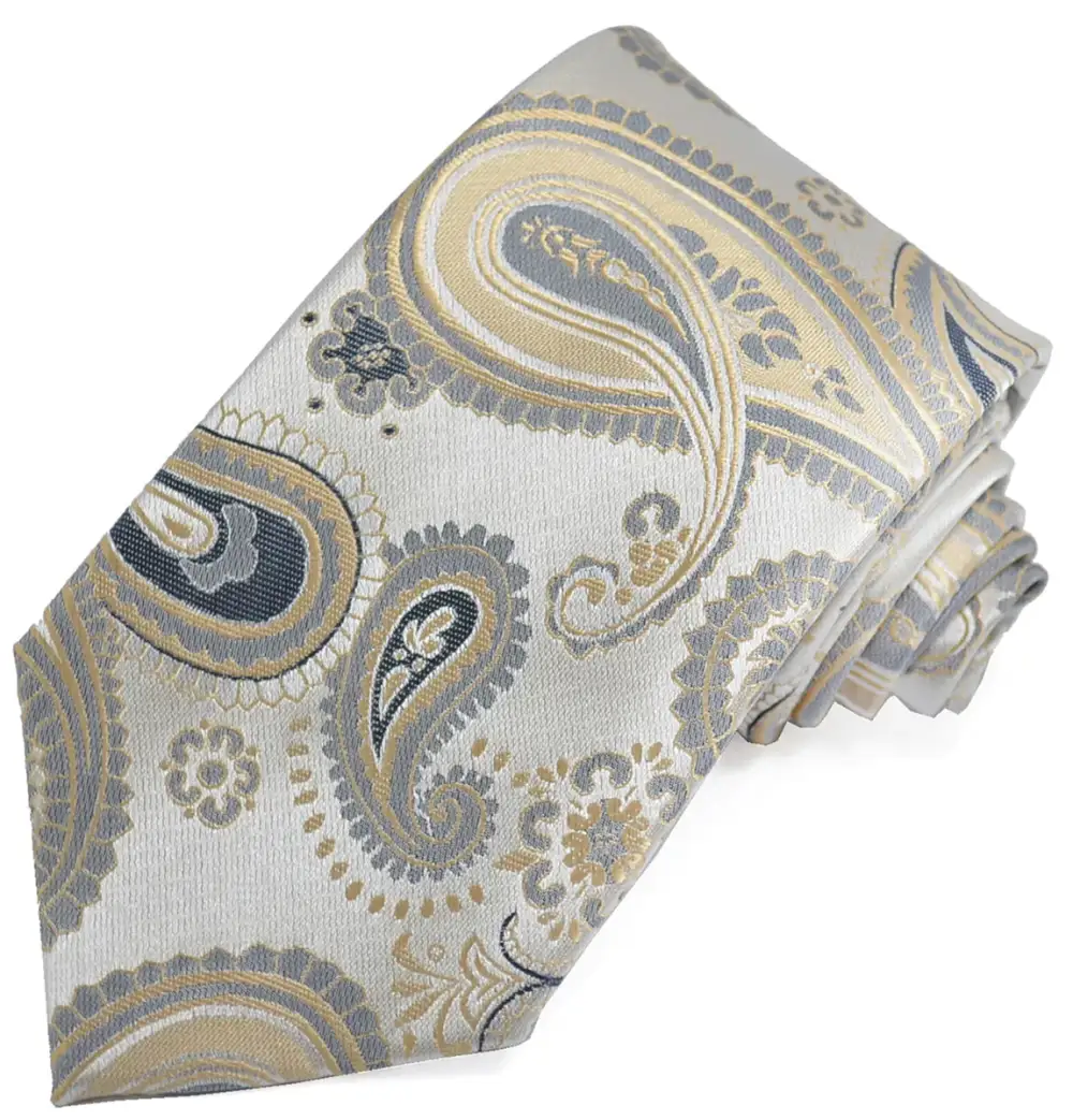 Distinctive Paisley Men's Necktie