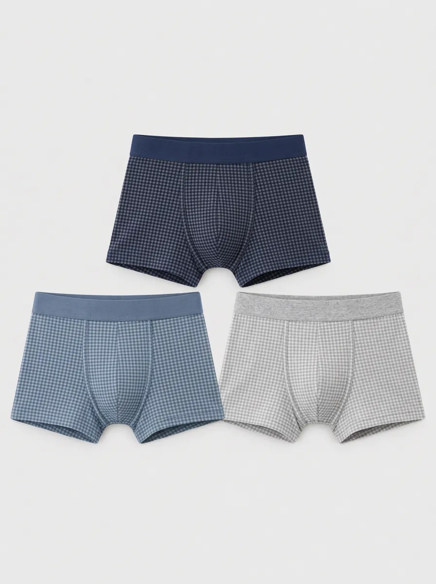 Men's Gingham Pattern Multi-Pack Printed Boxer Briefs