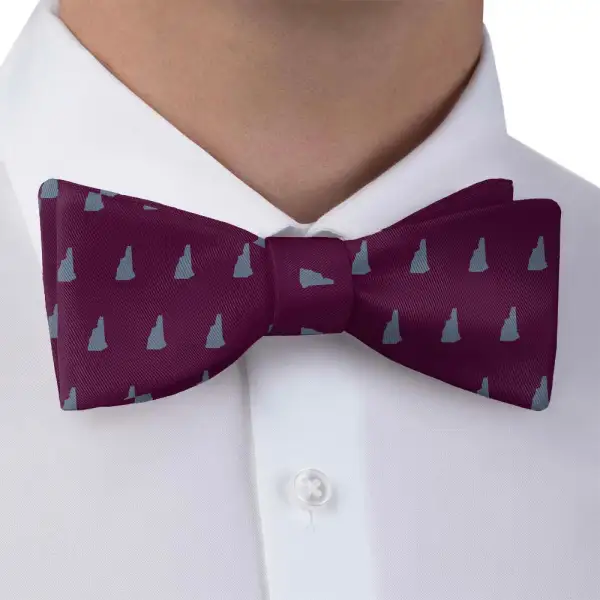 Expressive Outline Motif Bow Tie