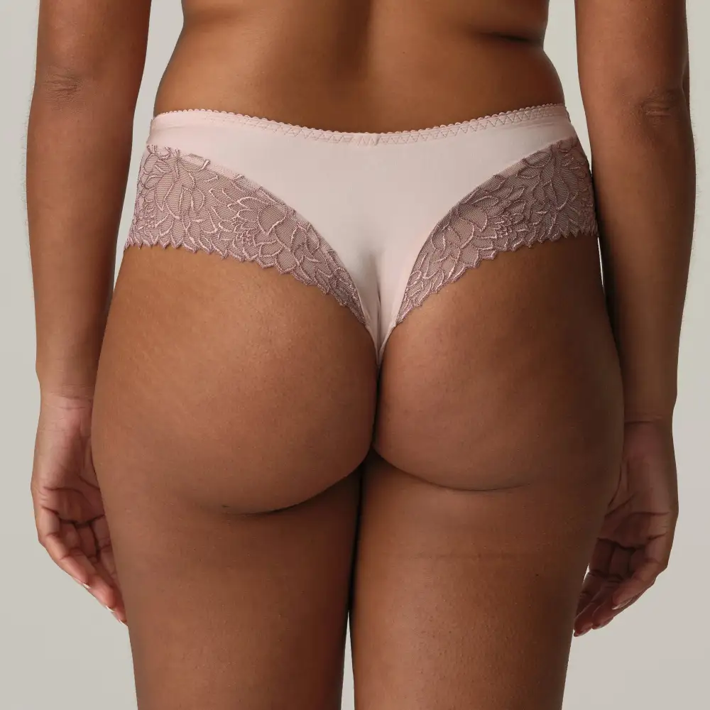 Women's High Cut Lace Mesh Vintage Detail Retro Detail Tanga Panty