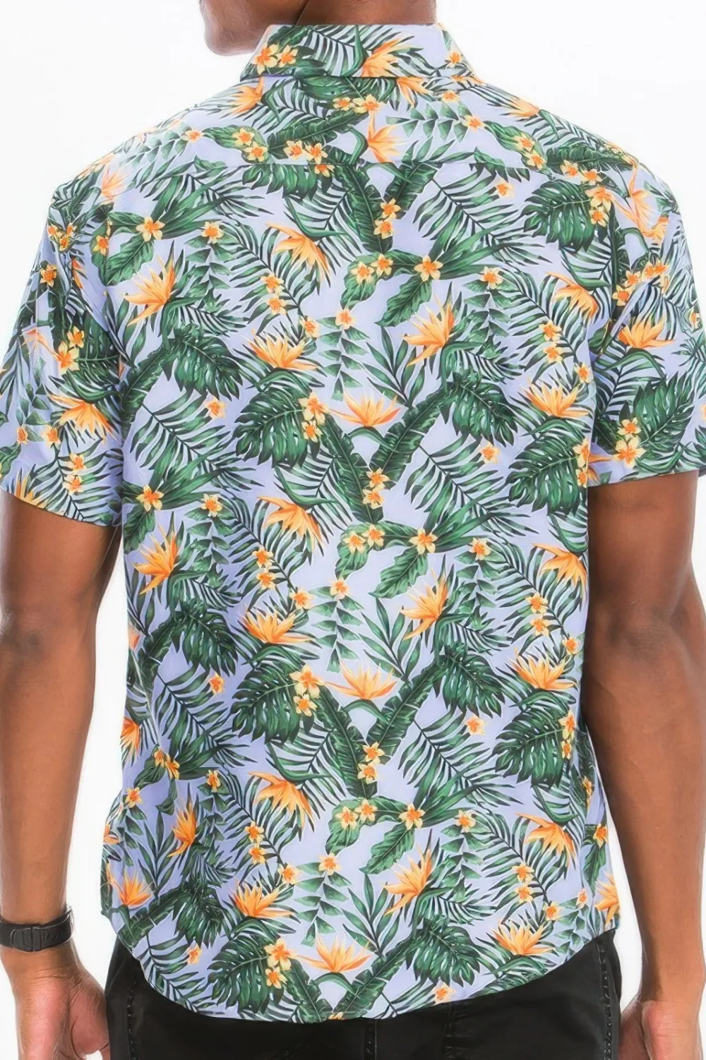 Button-Down Shirt