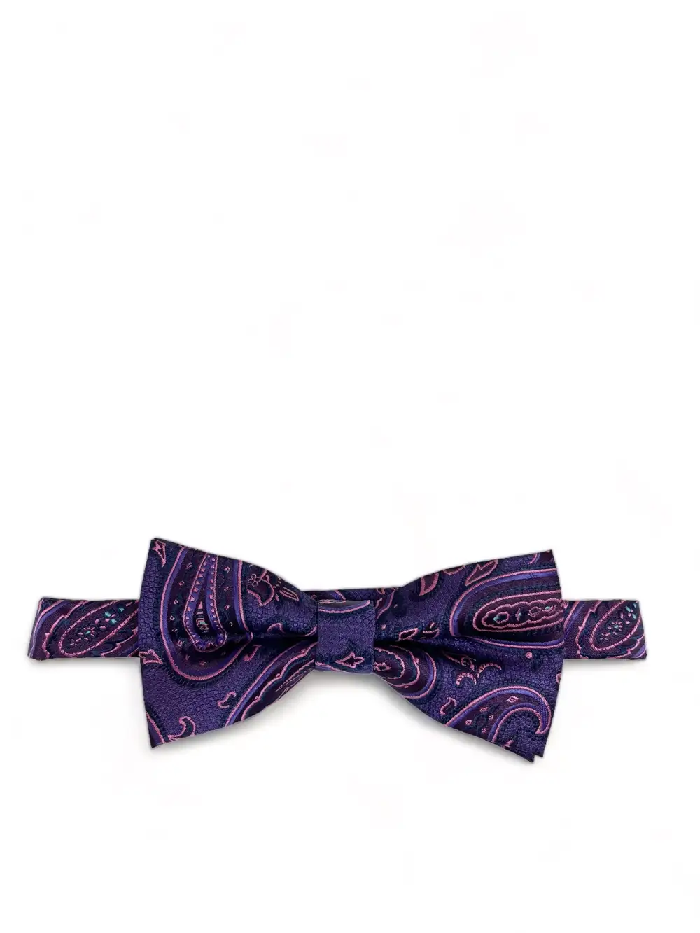 Well-Dressed Paisley Polyester Bow Tie
