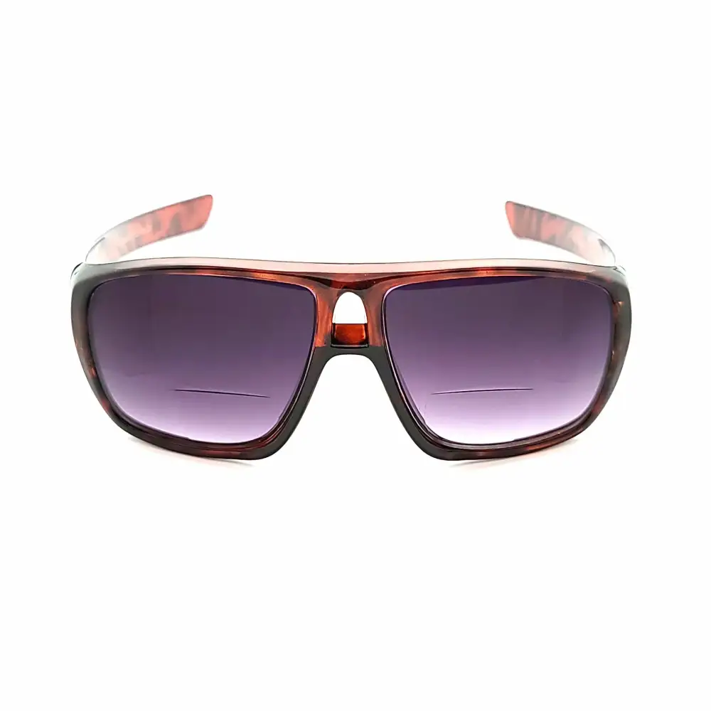 Bifocal Smoke-Lens Reading Sunglasses