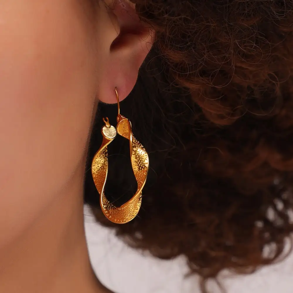 Twisted Titanium Steel Earrings