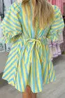 Striped Buttoned Puff Sleeve Mini Dress