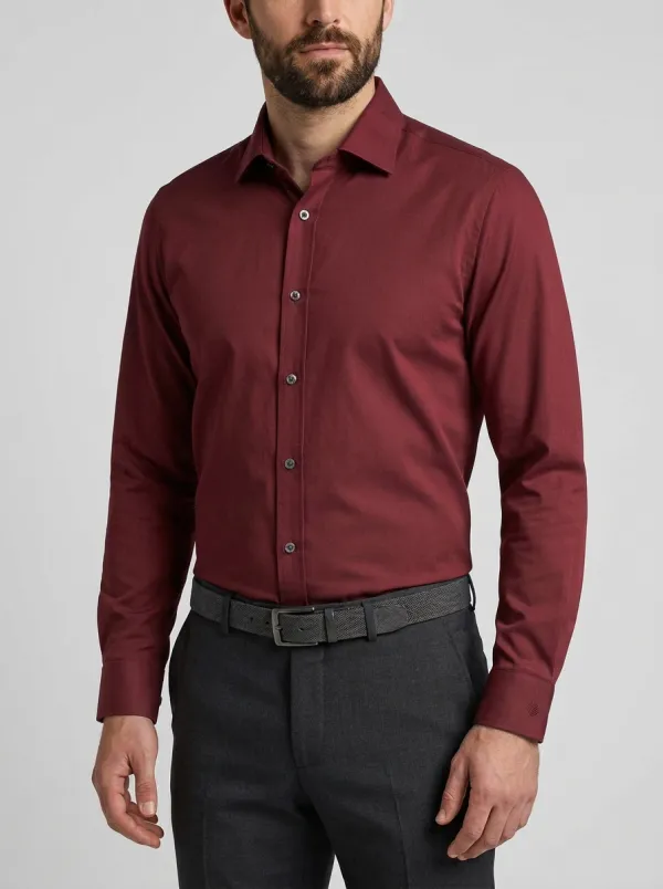 Men's Non-Iron Cotton Light Blue Solid Long Sleeve Shirt