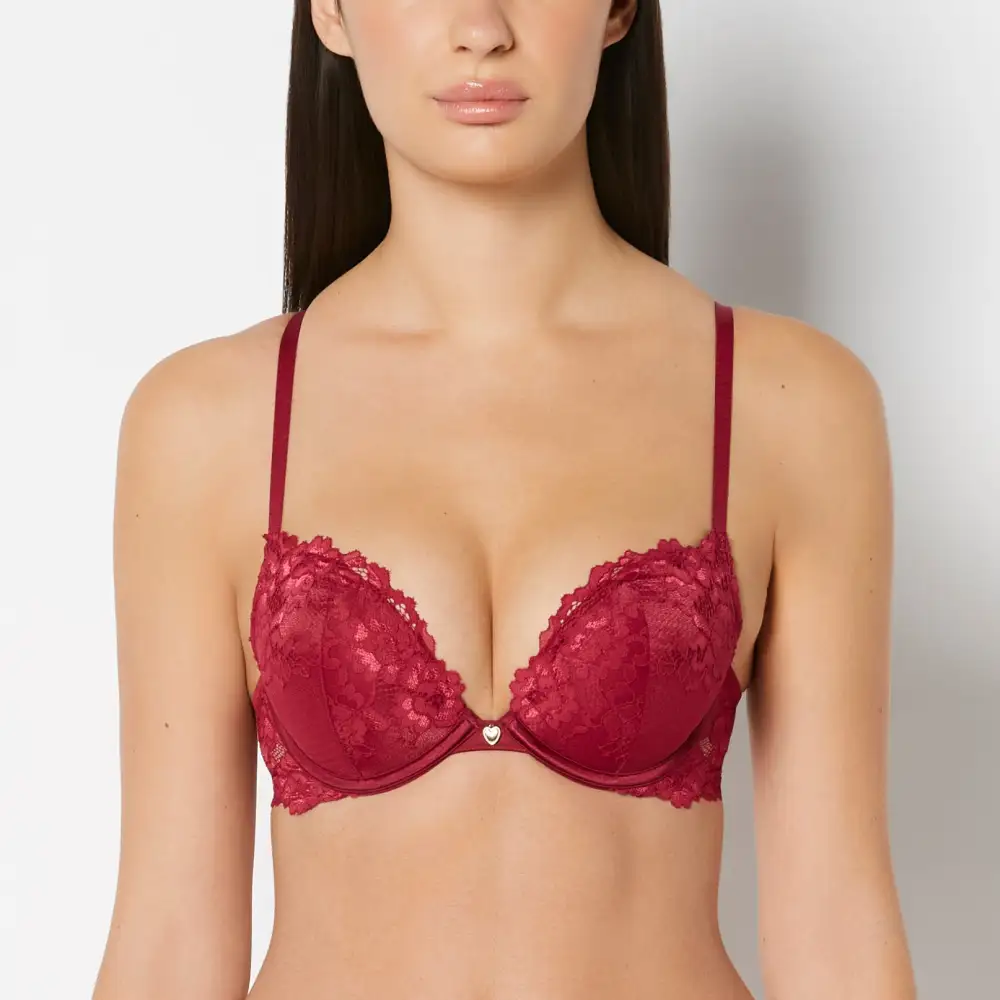 Signature Push Up Plunge Bra With Romantic Lace