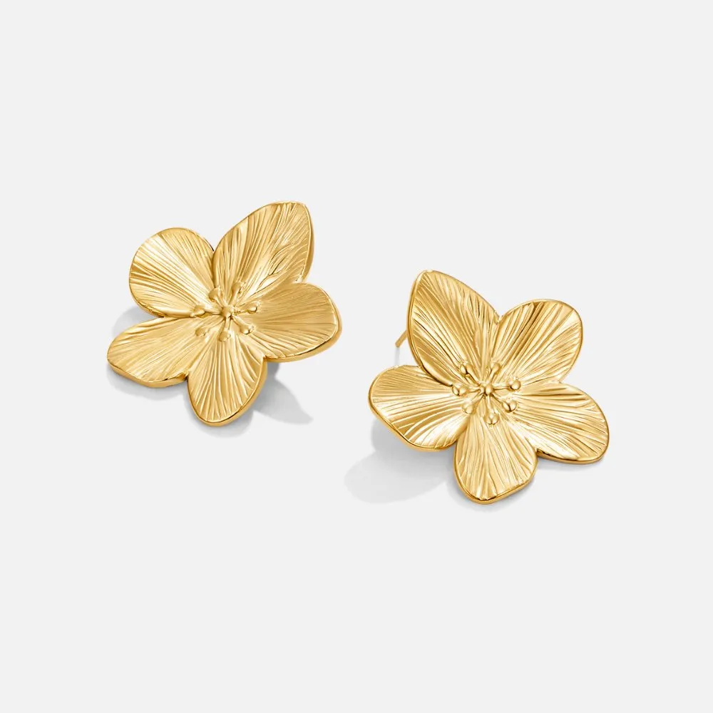 Modern Look Earrings