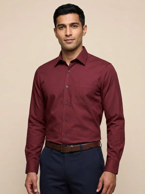 Men's Smart-Casual Non-Iron Cotton Embroidered Accent Long Sleeve Shirt