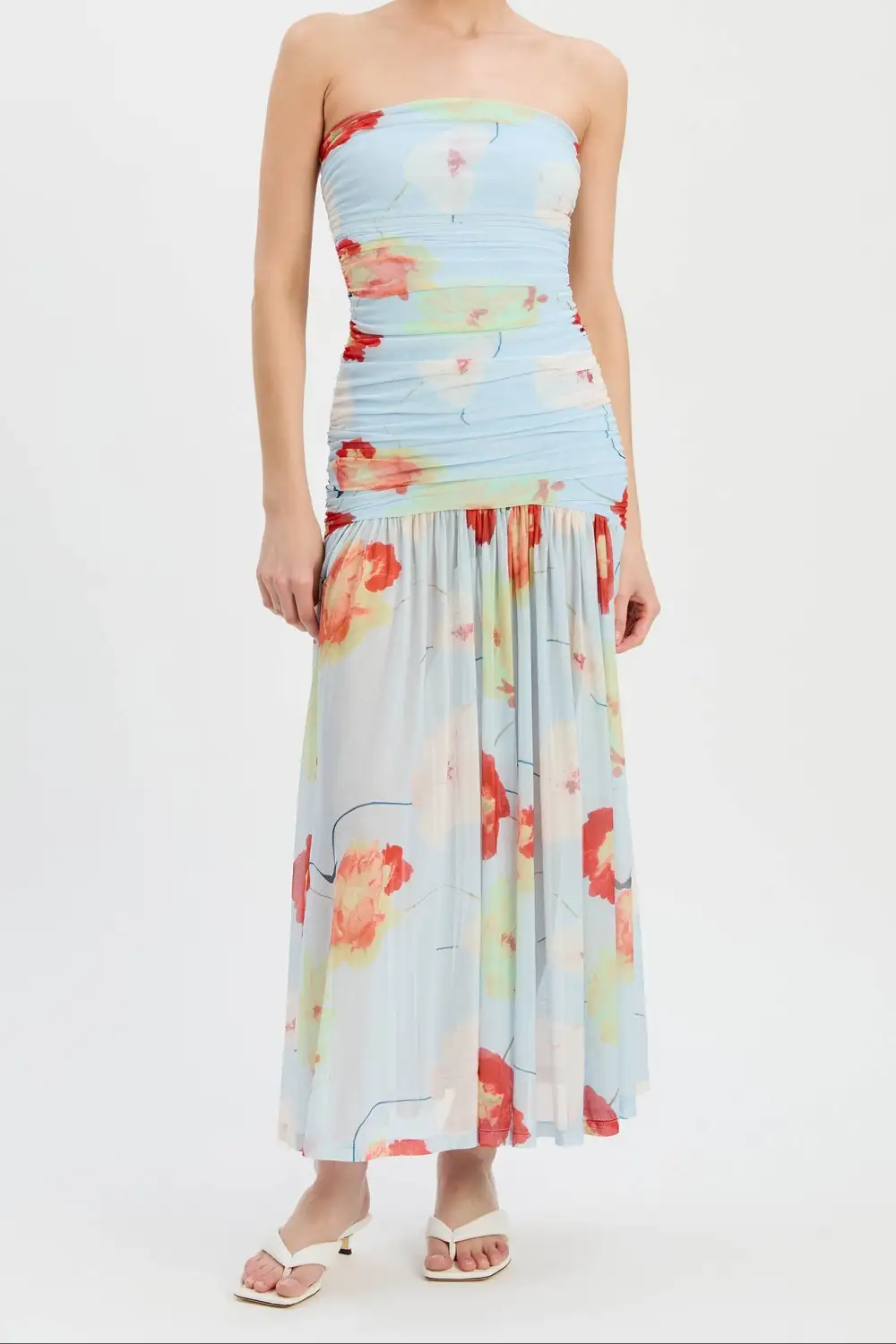 Mesh Printed Maxi Dress