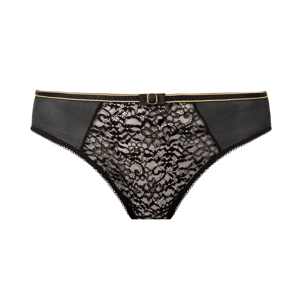Women's Lace Mesh Bikini Panty