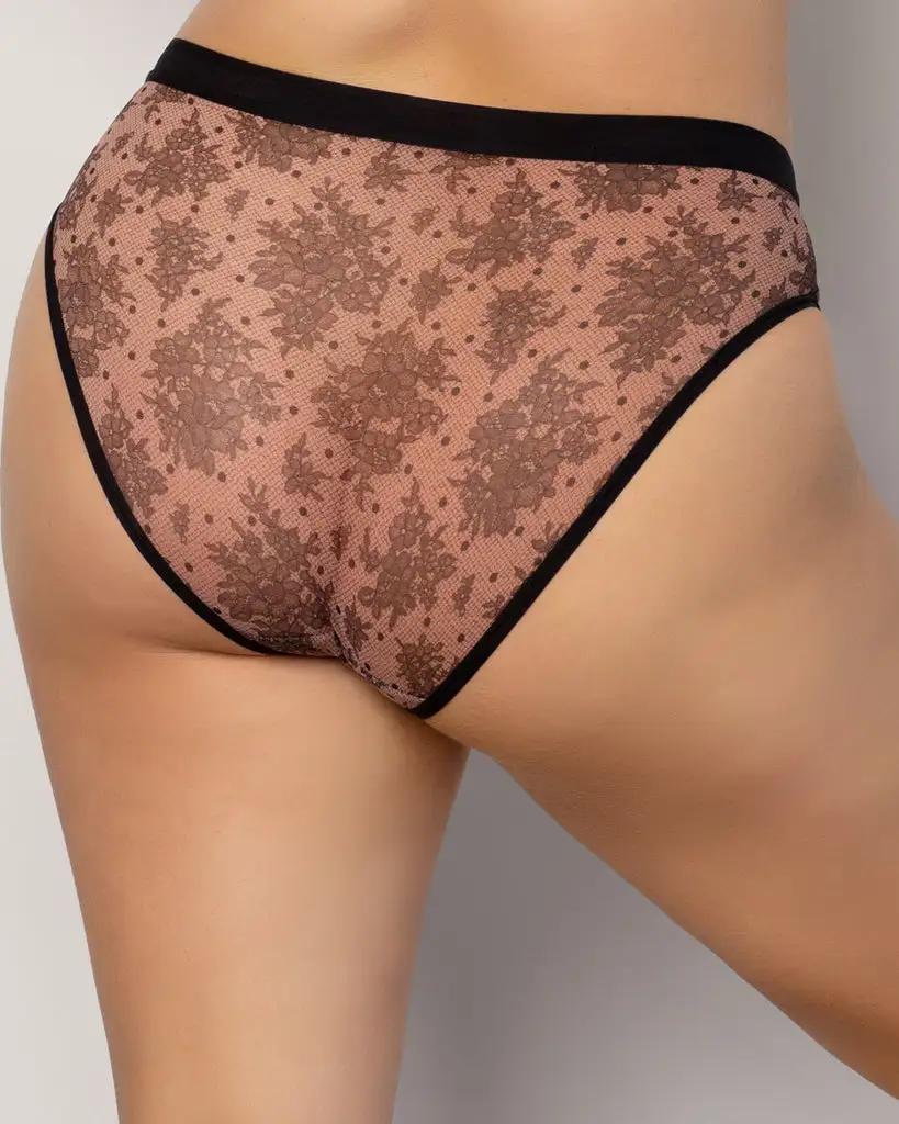 Sheer Mesh Everyday Brief