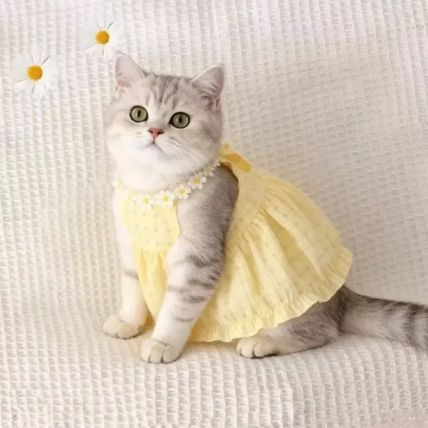 Cat Summer Dress Cute Skirt Preventing Hair Loss Strap Skirt