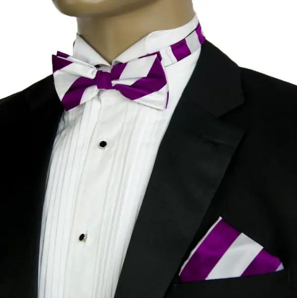 Tasteful Striped Silk Bow Tie Set