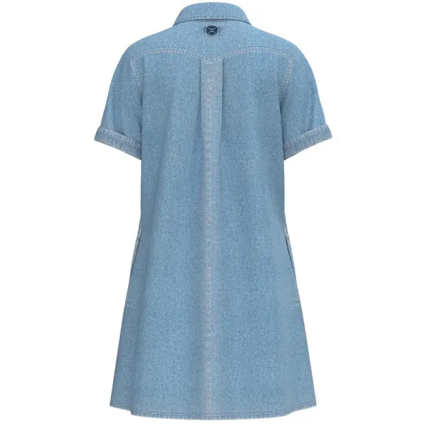 Denim Button Front Dress