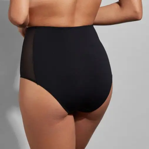 Women's Embroidery Mesh Cutout Detail Lightweight High Waist Panty