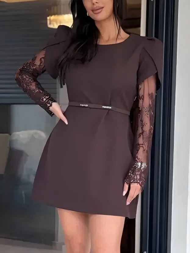 Lace Sleeve Elegant Mini Dress