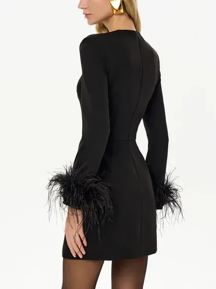 Feather Sleeve Slit Elegant Mini Dress
