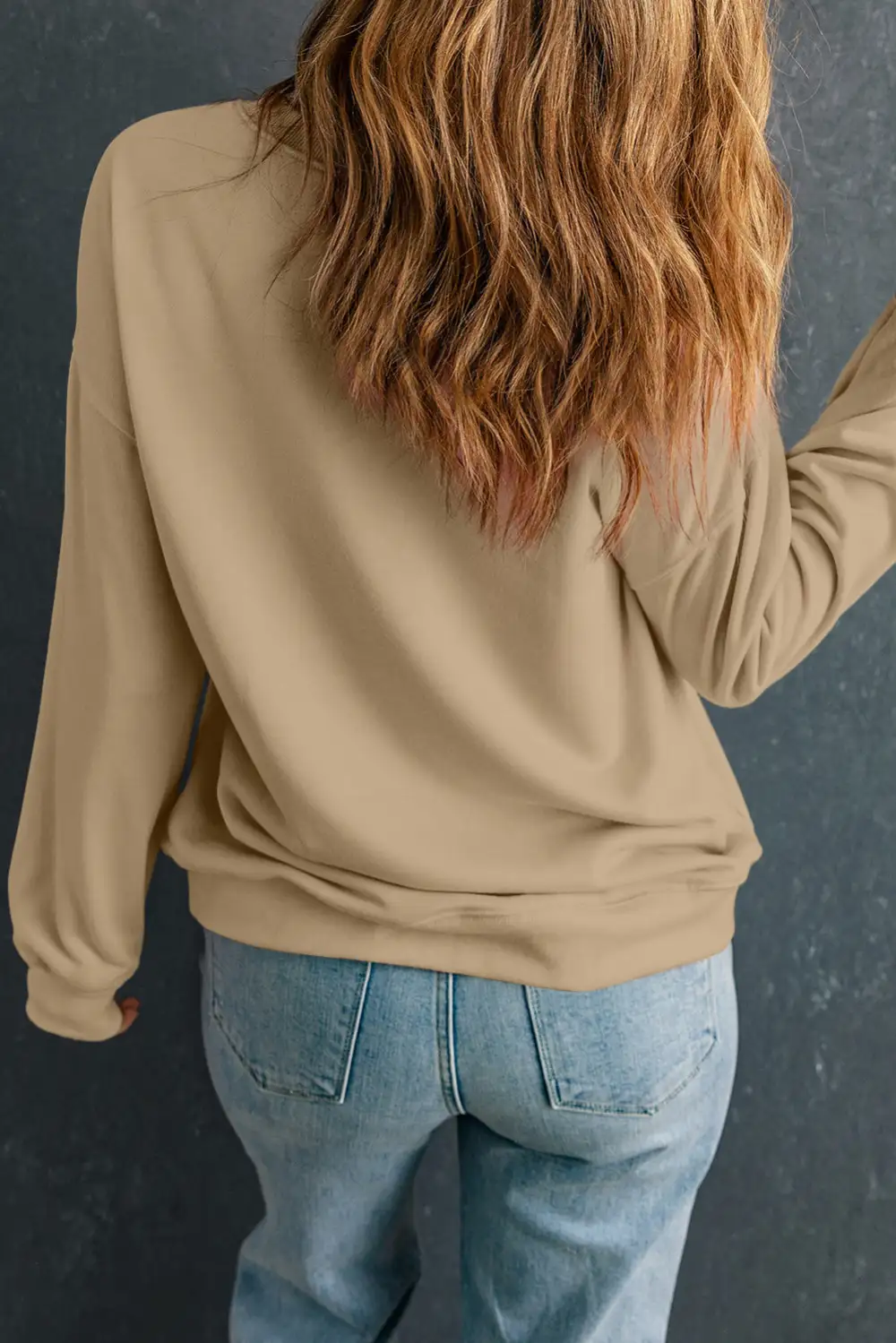 Casual Solid Classic Crew Neck Sweatshirt