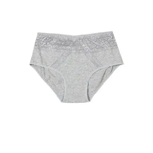 Lace Waistband Cotton Full Brief