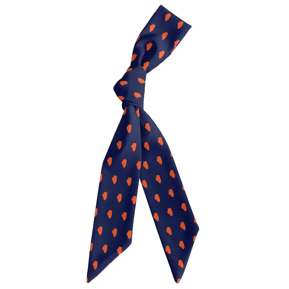 Illinois State Outline Design Hair Scarf