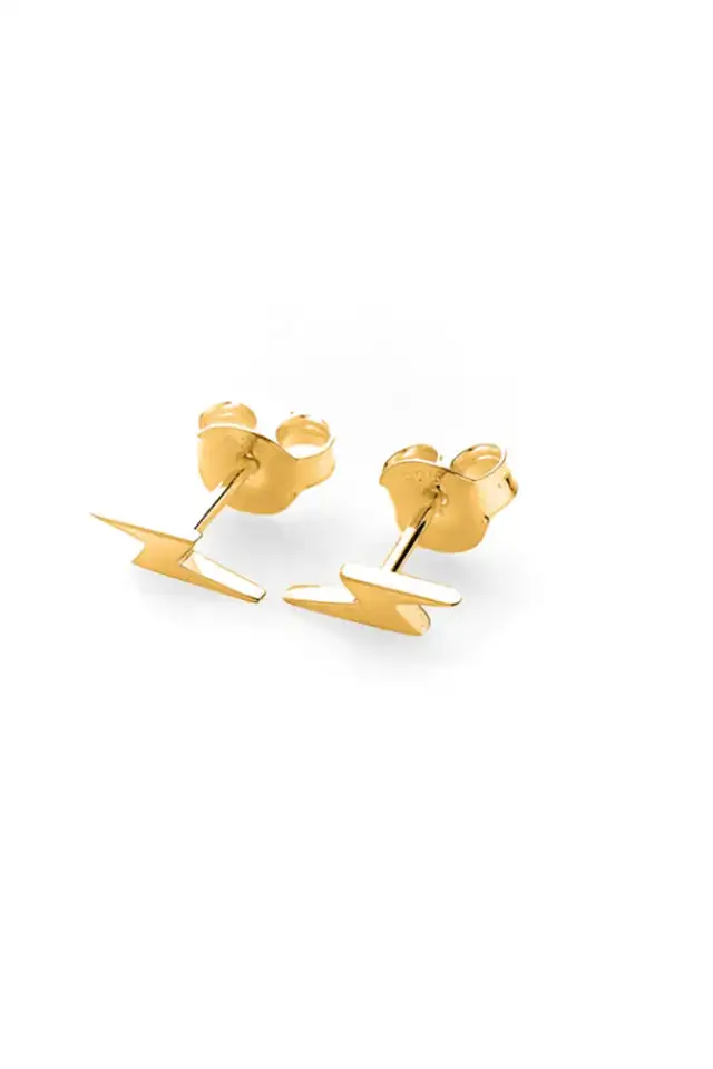 Butterfly Fastening Earrings