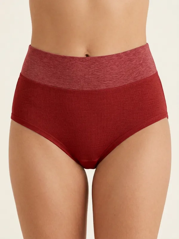 Women's Everyday High-Waisted Seamless Ribbed Panties