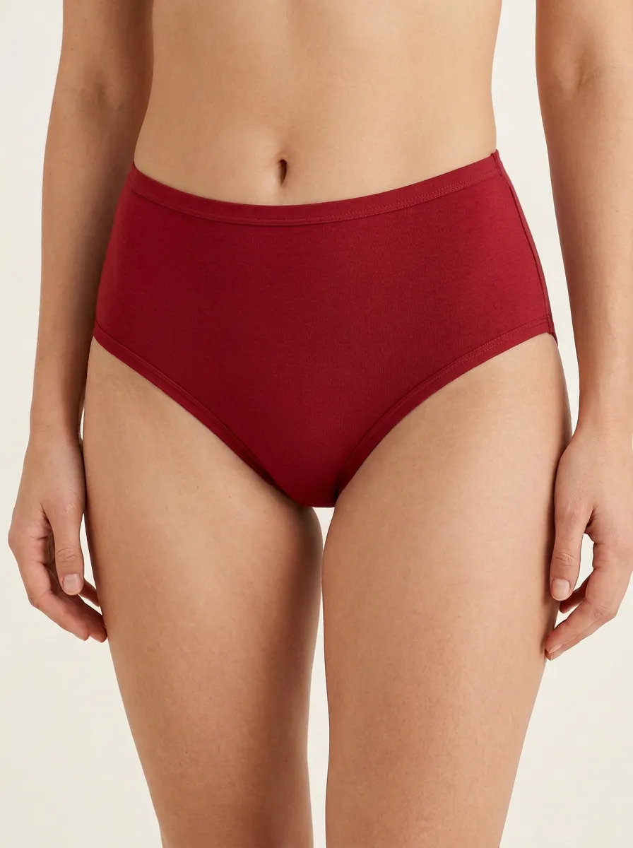 Women's Refined High-Waisted Panties