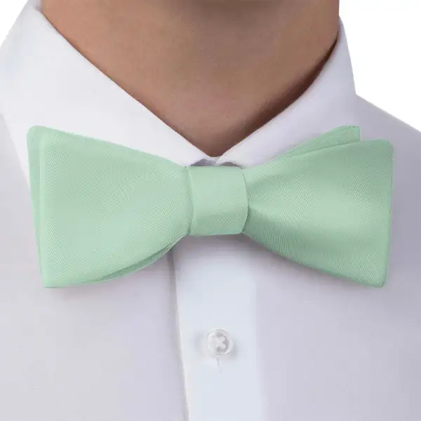 Smart Solid Pattern Bow Tie