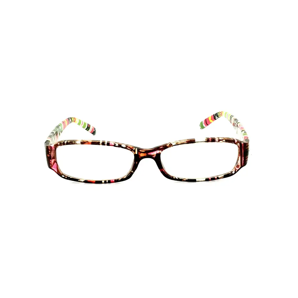 Aztec Print Reading Glasses with Matching Case
