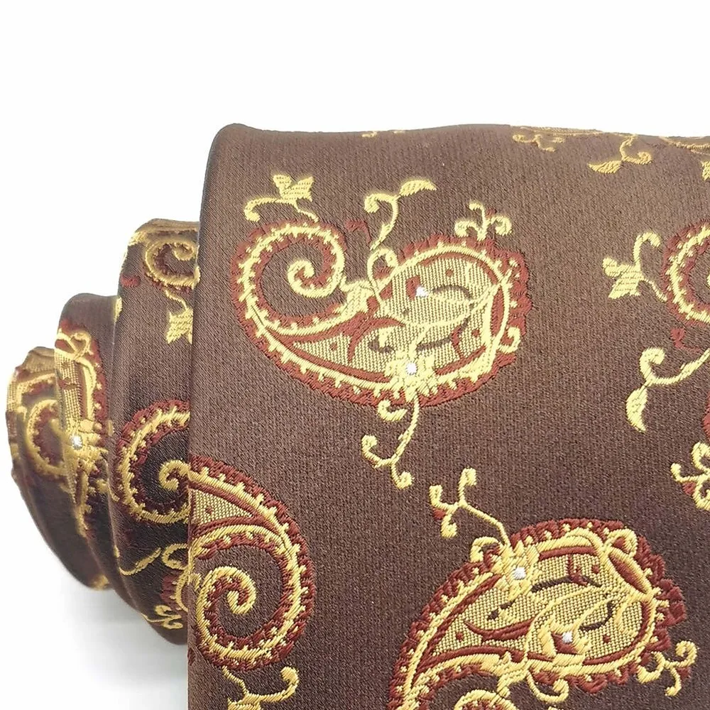 Silk Paisley Tie