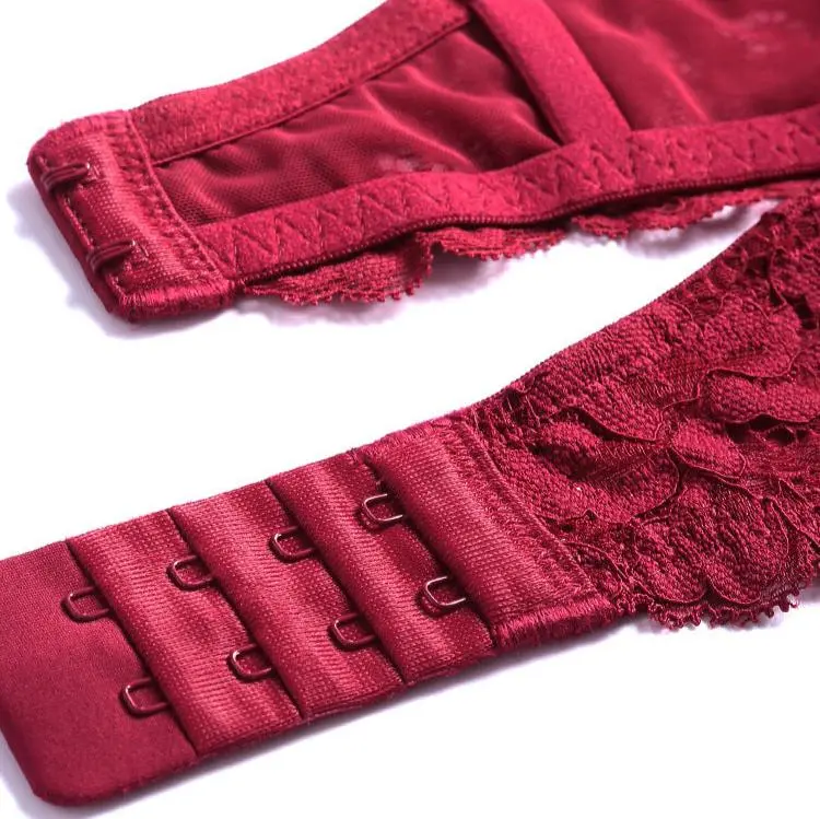 Lace Shaping Bra with Extended V-Neckline