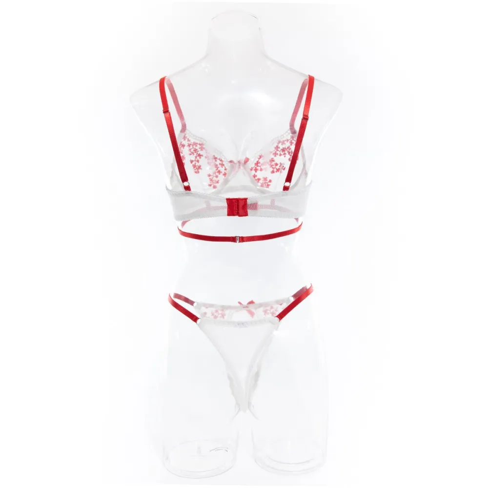 Contrast Embroidered Mesh Coordinated Bra Set