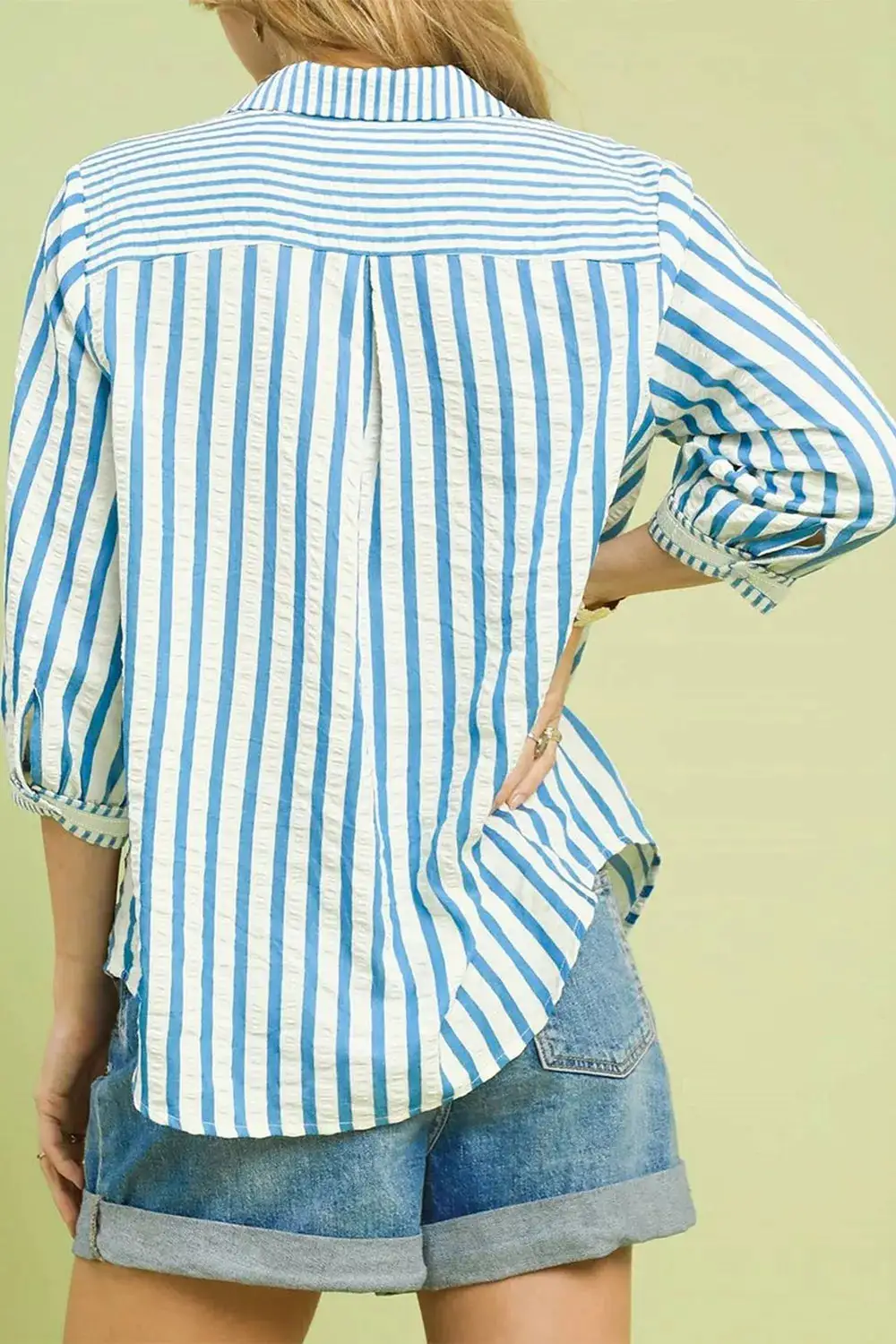 Stripe Sleeve Collared Neck Blouse